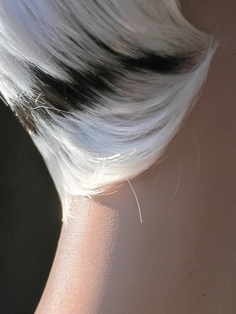 Short Layered Women's Wig in White with Black Stripes